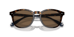 Shiny Dark Havana / Brown (500373)