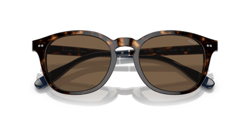 Polo Ralph Lauren PH4206 in Shiny Dark Havana / Brown (500373) - Alternate View