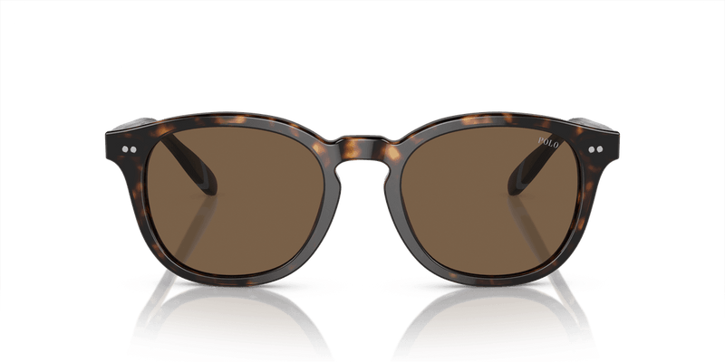 Polo Ralph Lauren PH4206 in Shiny Dark Havana / Brown (500373) - Alternate View