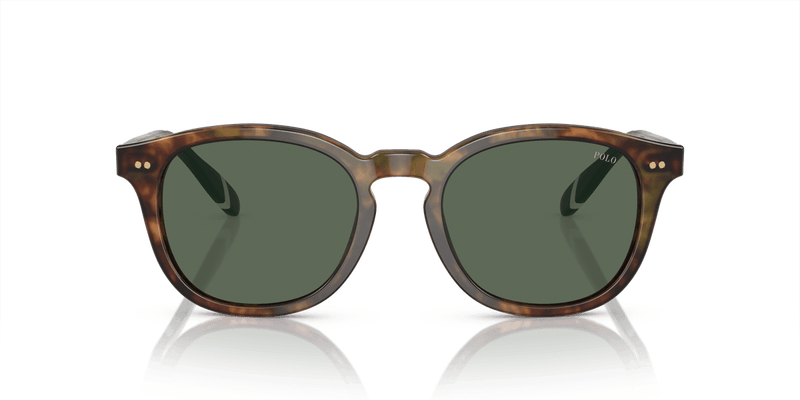 Polo Ralph Lauren PH4206 in Shiny Brown Tortoise / Bottle Green (501771) - Alternate View