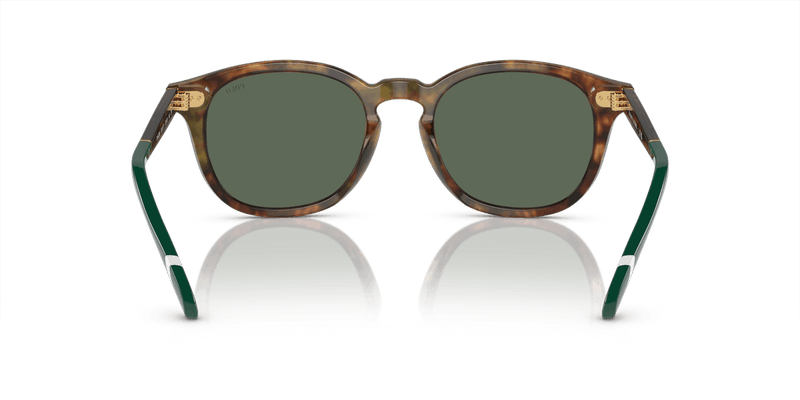 Polo Ralph Lauren PH4206 in Shiny Brown Tortoise / Bottle Green (501771) - Alternate View