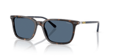 Shiny Havana / Dark Blue (500380)
