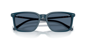 Shiny Blue / Dark Blue (546580)