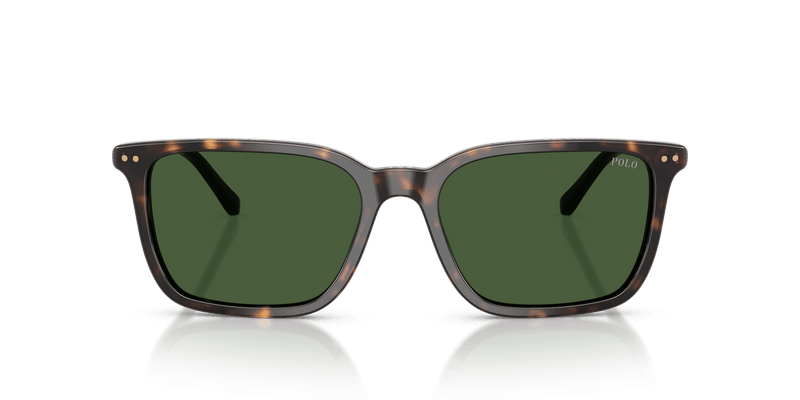 Polo Ralph Lauren PH4226 in Shiny Dark Havana / Bottle Green (567371) - Side View