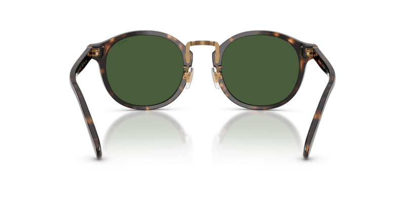 Polo Ralph Lauren PH4230 in Shiny Dark Havana / Bottle Green - Alternate View