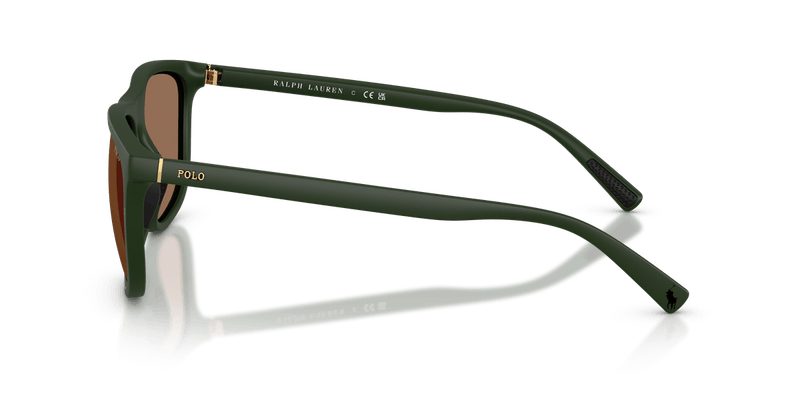 Polo Ralph Lauren PH4231U in Matte Dark Green / Dark Brown - Alternate View