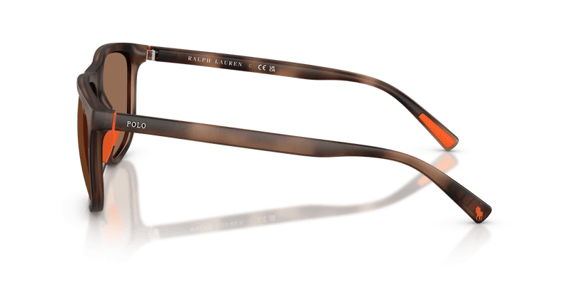 Polo Ralph Lauren PH4231U in Matte Dark Havana / Dark Brown - Alternate View