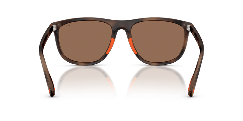 Polo Ralph Lauren PH4231U in Matte Dark Havana / Dark Brown - Alternate View