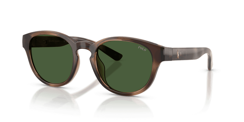 Polo Ralph Lauren PH4233U in Shiny Dark Havana / Bottle Green (607071) - Alternate View