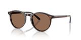 Shiny Dark Havana / Brown (500373)