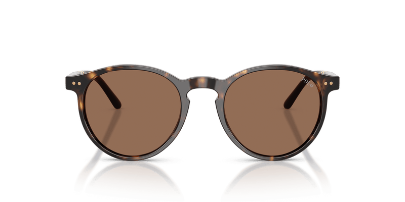 Polo Ralph Lauren PH4236 in Shiny Dark Havana / Brown (500373) - Back View