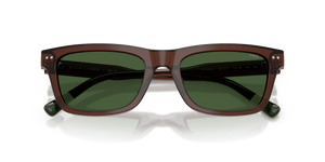Shiny Transparent Brown / Dark Green (631571)