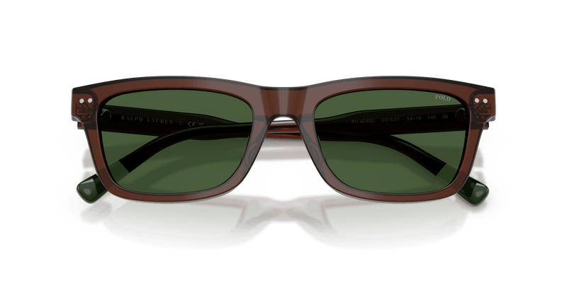 Polo Ralph Lauren PH4240U in Shiny Transparent Brown / Dark Green (631571) - Alternate View
