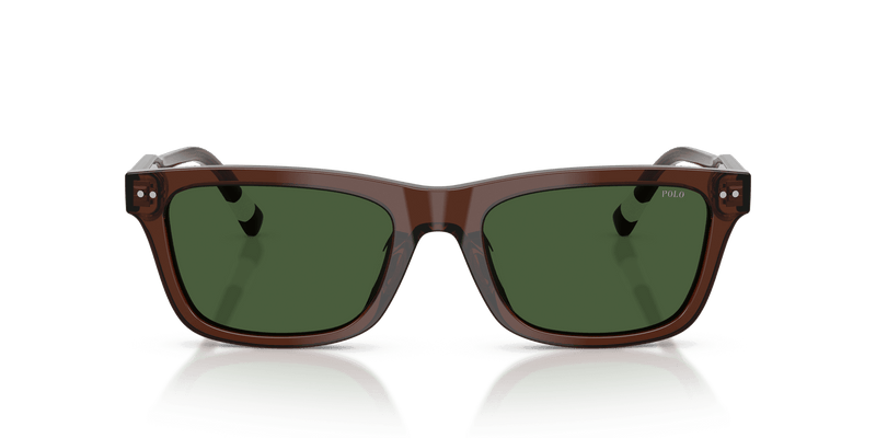 Polo Ralph Lauren PH4240U in Shiny Transparent Brown / Dark Green (631571) - Alternate View