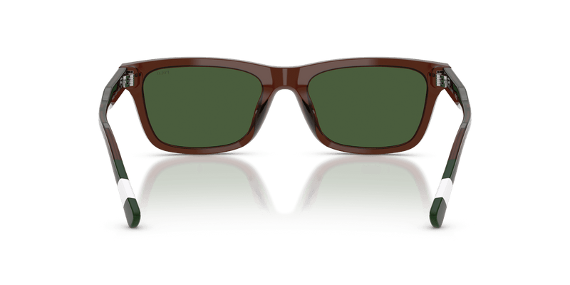 Polo Ralph Lauren PH4240U in Shiny Transparent Brown / Dark Green (631571) - Alternate View