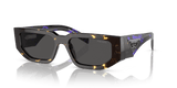 Tortoise Black Malt / Dark Grey (16R5S0)