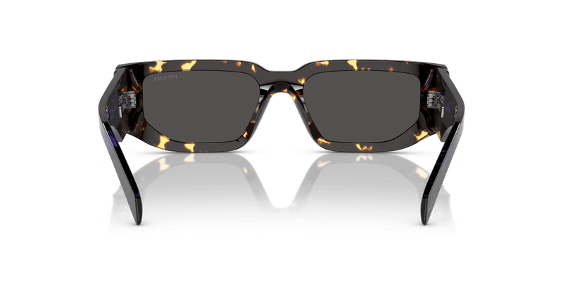 Prada PR 09ZS in Tortoise Black Malt / Dark Grey (16R5S0) - Alternate View