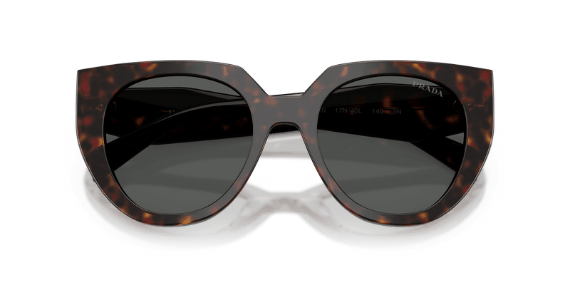 Prada PR 14WS in Root Tortoise / Dark Grey (17N40L) - Side View