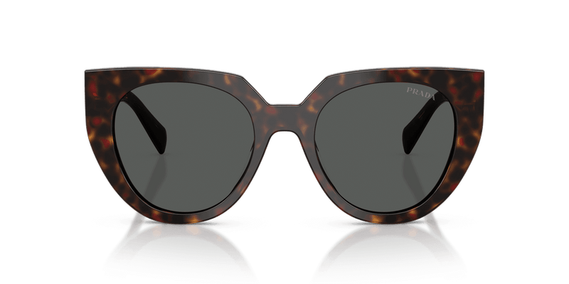 Prada PR 14WS in Root Tortoise / Dark Grey (17N40L) - Back View