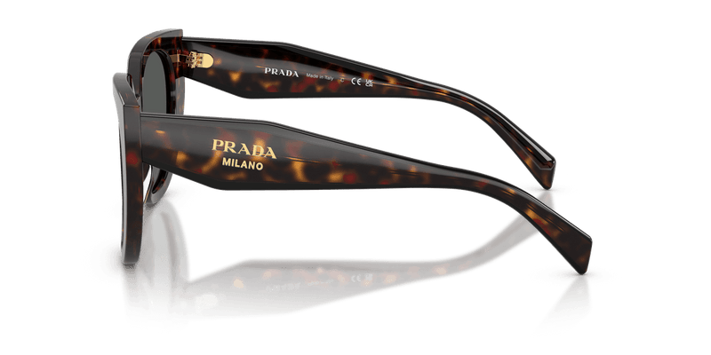 Prada PR 14WS in Root Tortoise / Dark Grey (17N40L) - Temple Detail