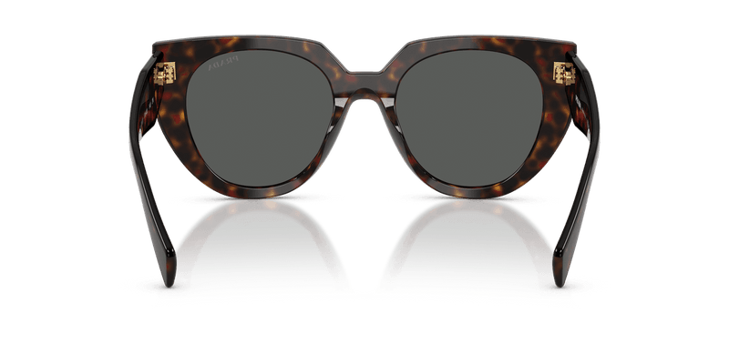 Prada PR 14WS in Root Tortoise / Dark Grey (17N40L) - Alternate View