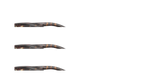 Root Tortoise (17N1O1)