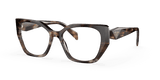 Caramel Tortoise (07R1O1)