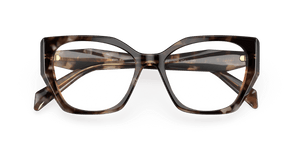 Caramel Tortoise (07R1O1)