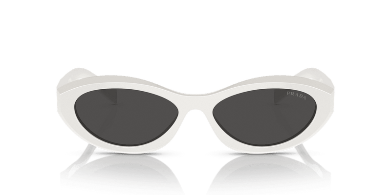 Prada PR 26ZS in Talc / Dark Grey (17K08Z) - Alternate View