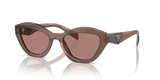 Brown Transparent / Light Brown (17O60B)
