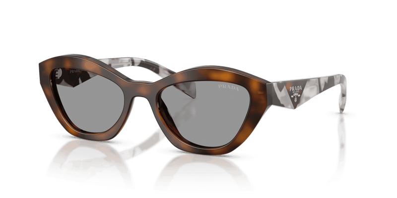 Prada PR A02S in Juniper Tortoise / Grey (20D50Q) - Alternate View