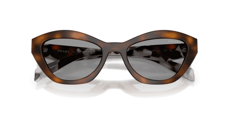 Prada PR A02S in Juniper Tortoise / Grey (20D50Q) - Alternate View