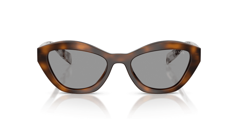 Prada PR A02S in Juniper Tortoise / Grey (20D50Q) - Alternate View