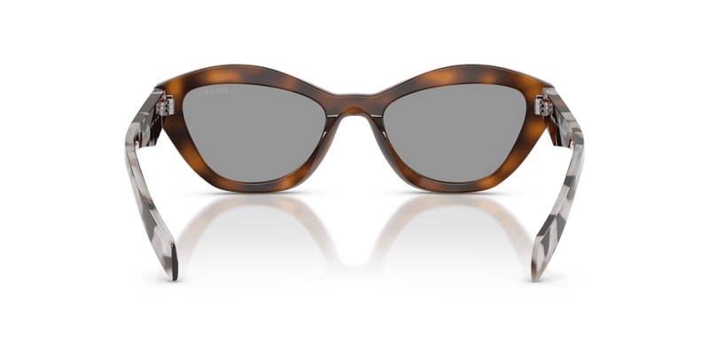 Prada PR A02S in Juniper Tortoise / Grey (20D50Q) - Alternate View