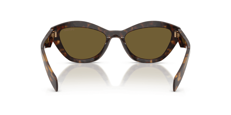 Prada PR A02S in Root Tortoise / Dark Brown (17N09Z) - Alternate View