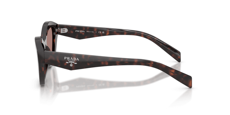 Prada PR A02S in Root Tortoise / Light Brown (17N60B) - Alternate View
