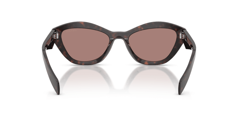 Prada PR A02S in Root Tortoise / Light Brown (17N60B) - Alternate View
