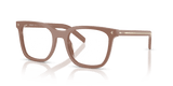 Pecan (28D1O1)
