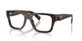 Root Tortoise (17N1O1)