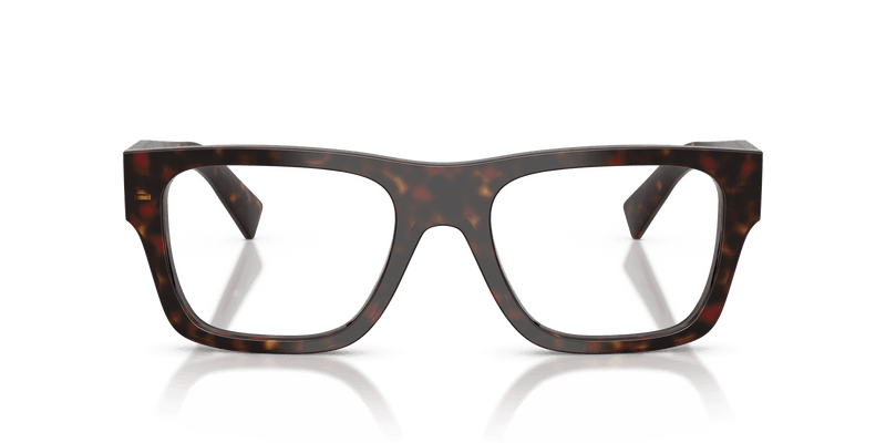 Prada PR C01V in Root Tortoise (17N1O1) - Alternate View
