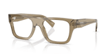 Transparent Bark (22H1O1)