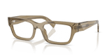Transparent Bark (22H1O1)