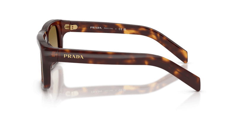 Prada PR D11S in Classic Tortoise / Brown Gradient (15W20U) - Alternate View