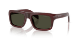 Pomegranate Tortoise / Dark Green (25J50X)