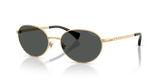 Shiny Gold / Grey (900487)