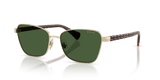 Shiny Pale Gold / Dark Green (949071)