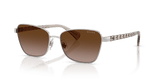 Shiny Silver / Gradient Brown (949213)