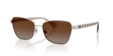 Shiny Silver / Gradient Brown (9492T5) (9492T5)