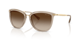 Shiny Beige / Gradient Brown (580213)