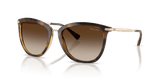Shiny Dark Havana / Gradient Brown (500313)
